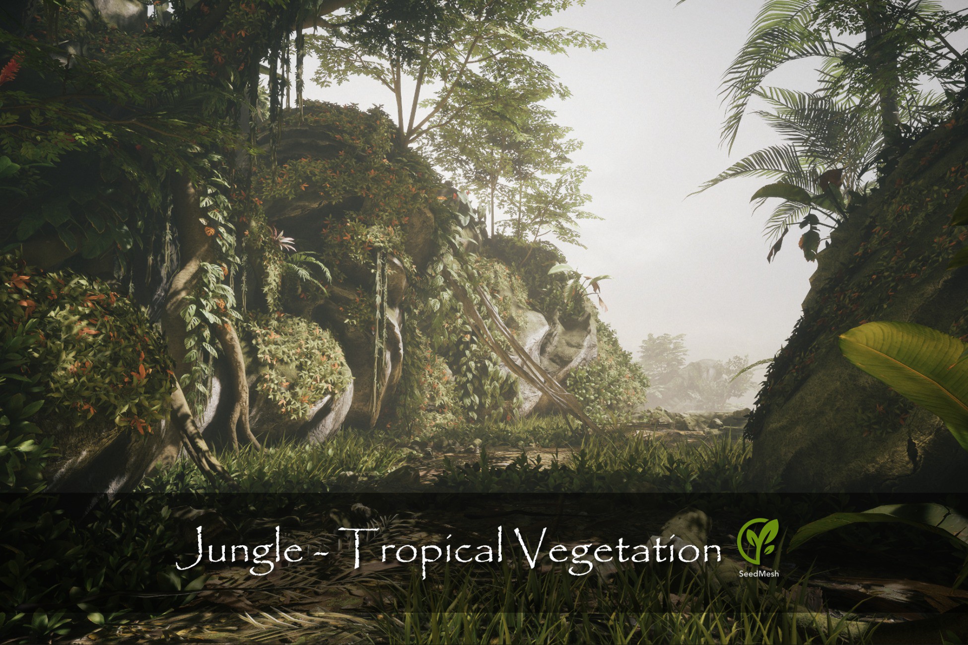 Jungle - Tropical Vegetation